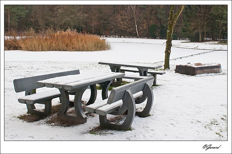 20101209_0071 2.jpg - Winter aan de visvijver